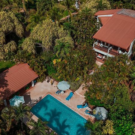 Hotel Villa Del Sol Coco Dış mekan fotoğraf