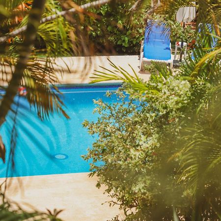 Hotel Villa Del Sol Coco Dış mekan fotoğraf