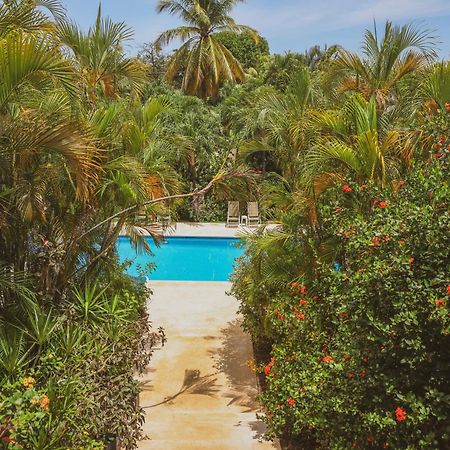 Hotel Villa Del Sol Coco Dış mekan fotoğraf