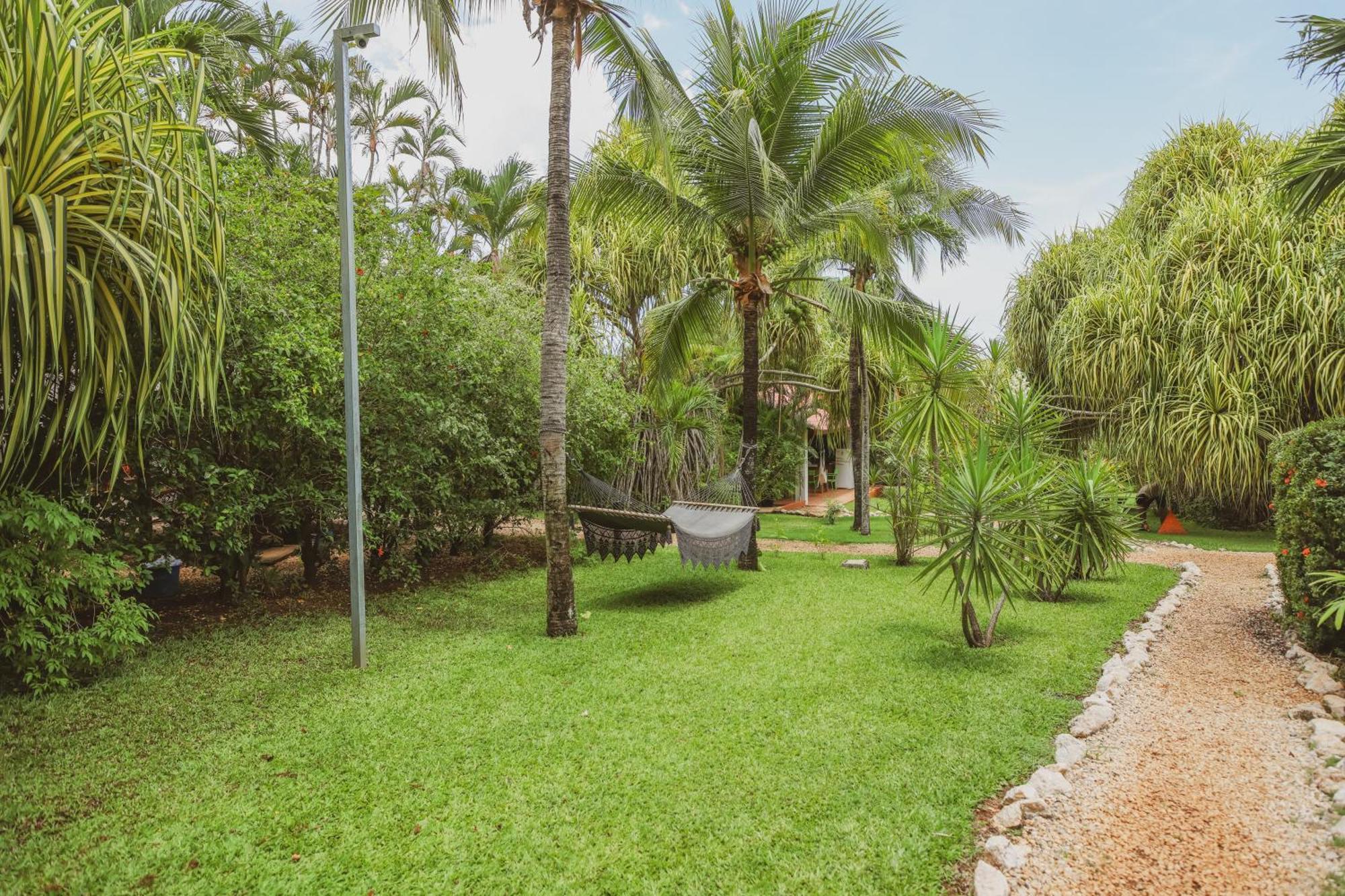 Hotel Villa Del Sol Coco Dış mekan fotoğraf