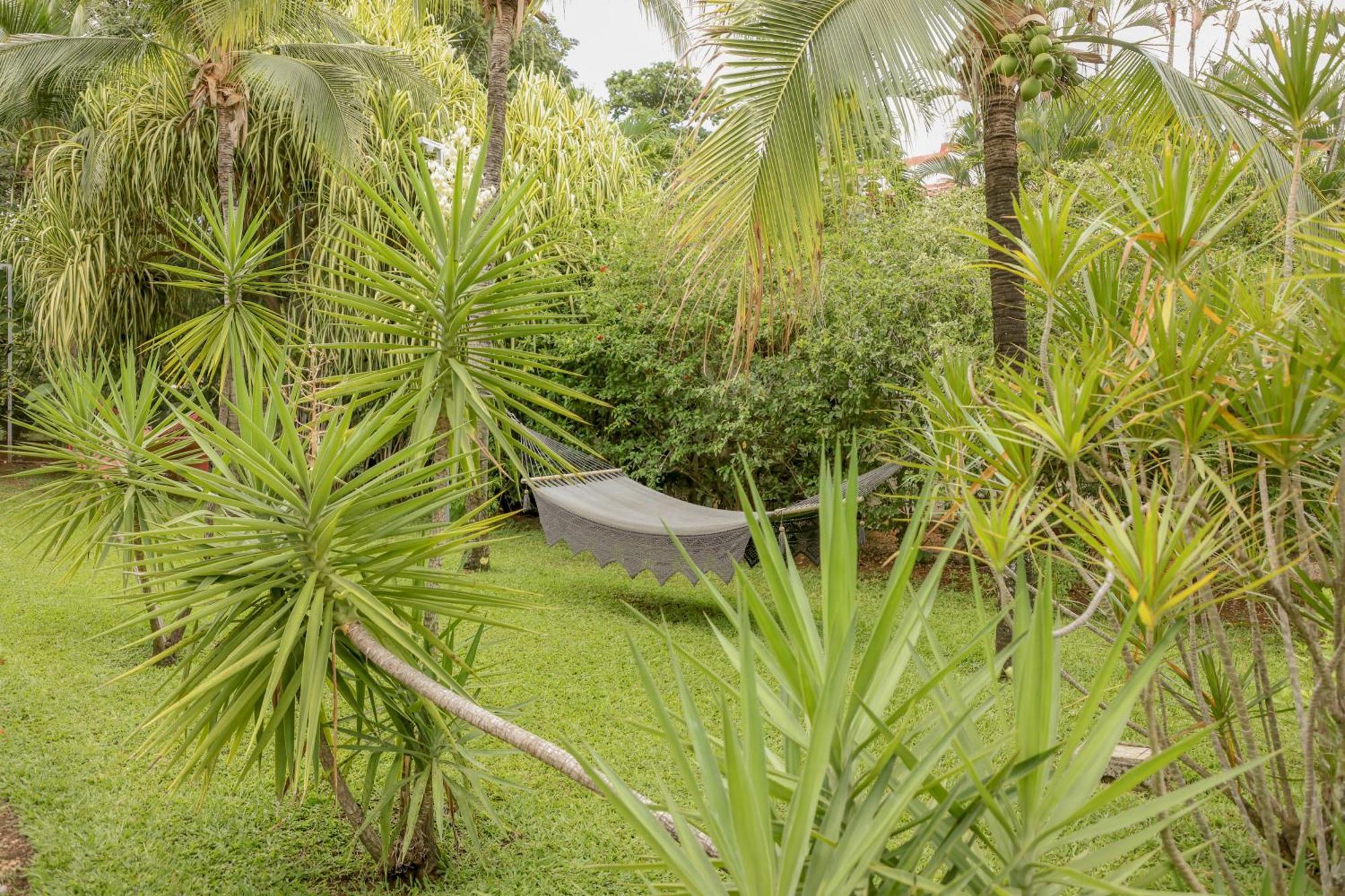 Hotel Villa Del Sol Coco Dış mekan fotoğraf