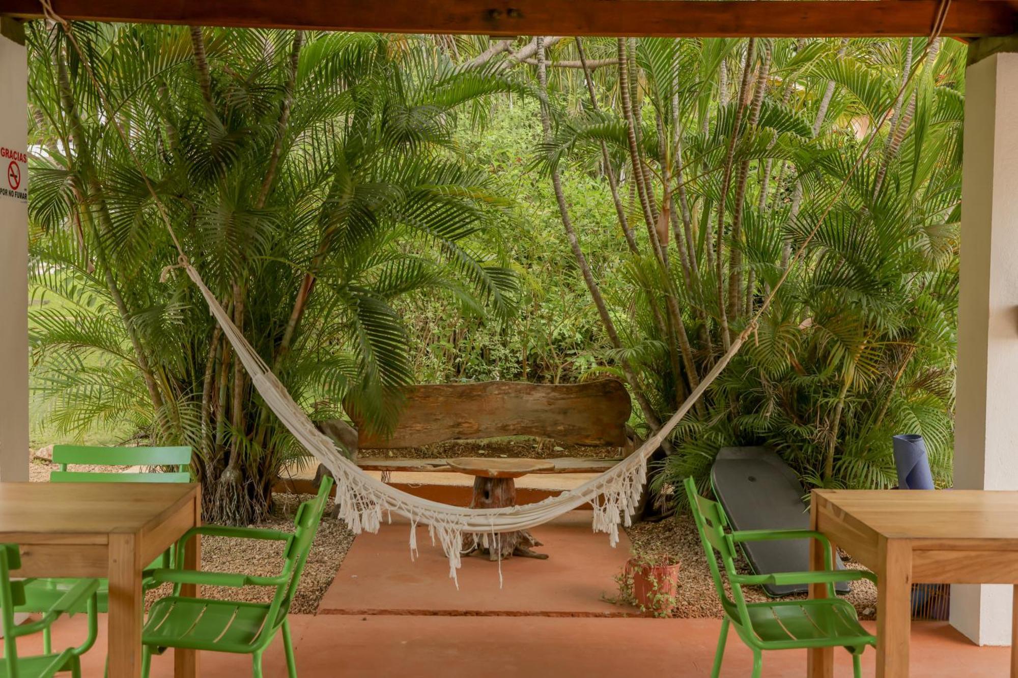 Hotel Villa Del Sol Coco Dış mekan fotoğraf