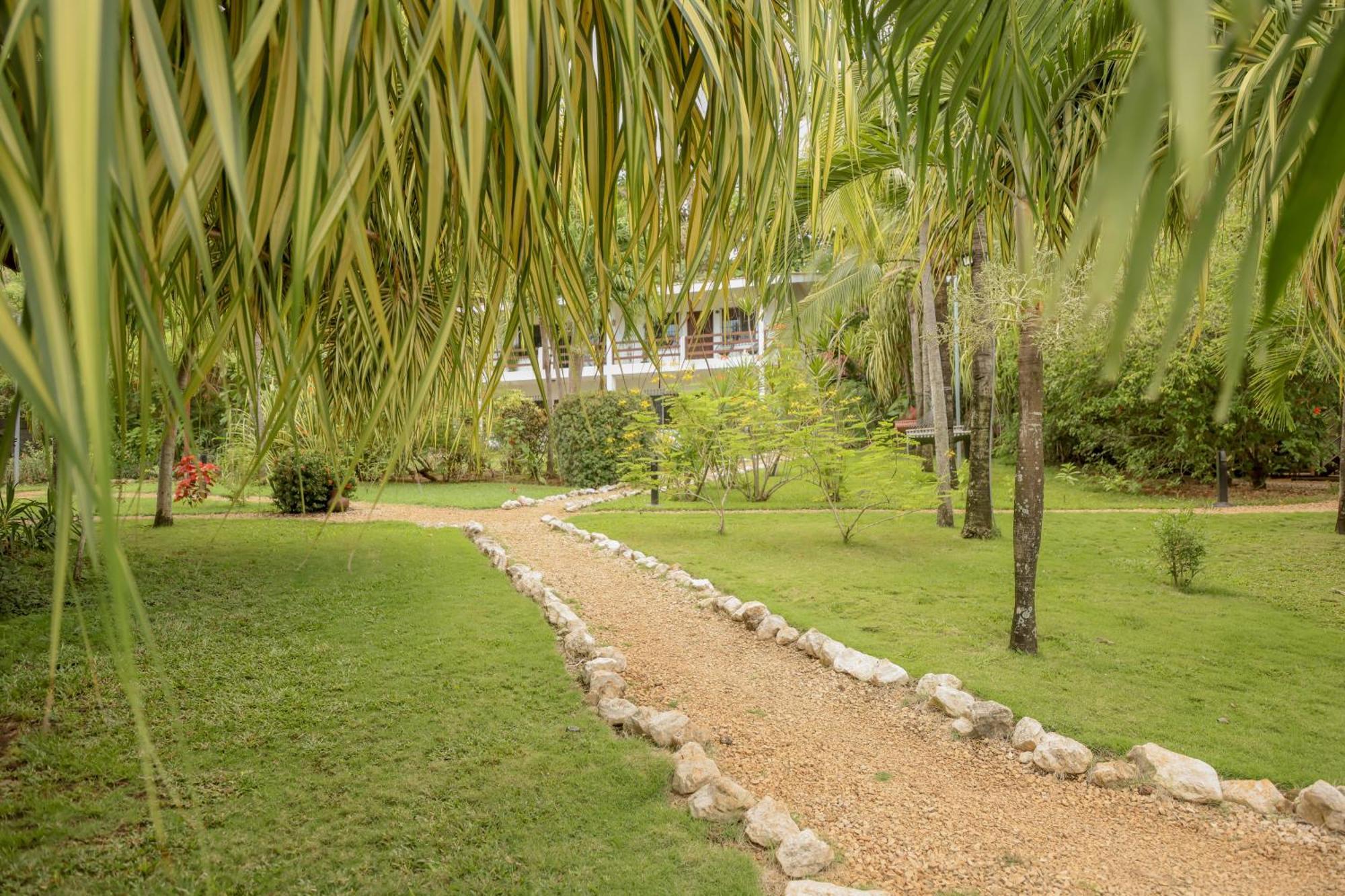 Hotel Villa Del Sol Coco Dış mekan fotoğraf