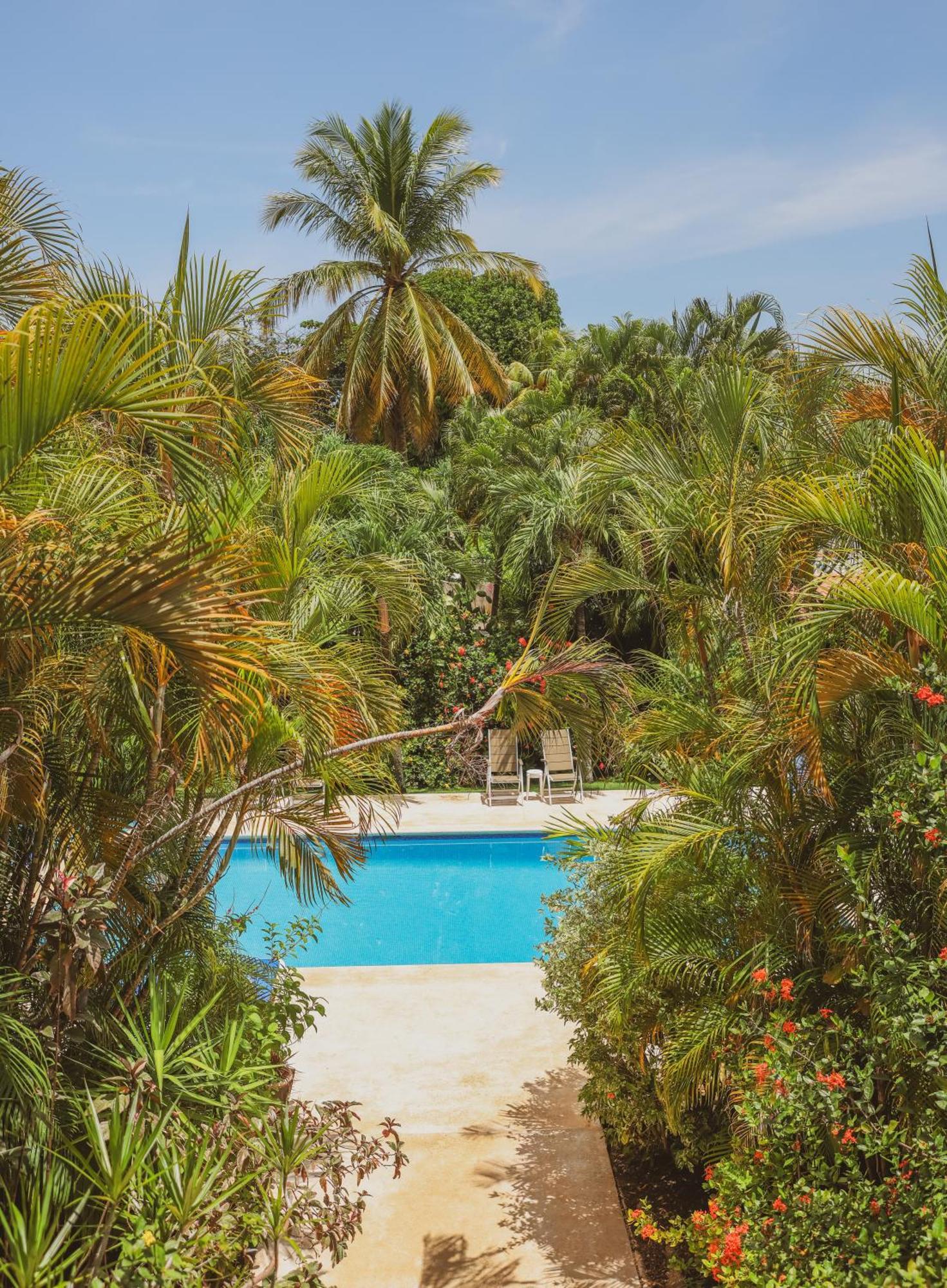 Hotel Villa Del Sol Coco Dış mekan fotoğraf