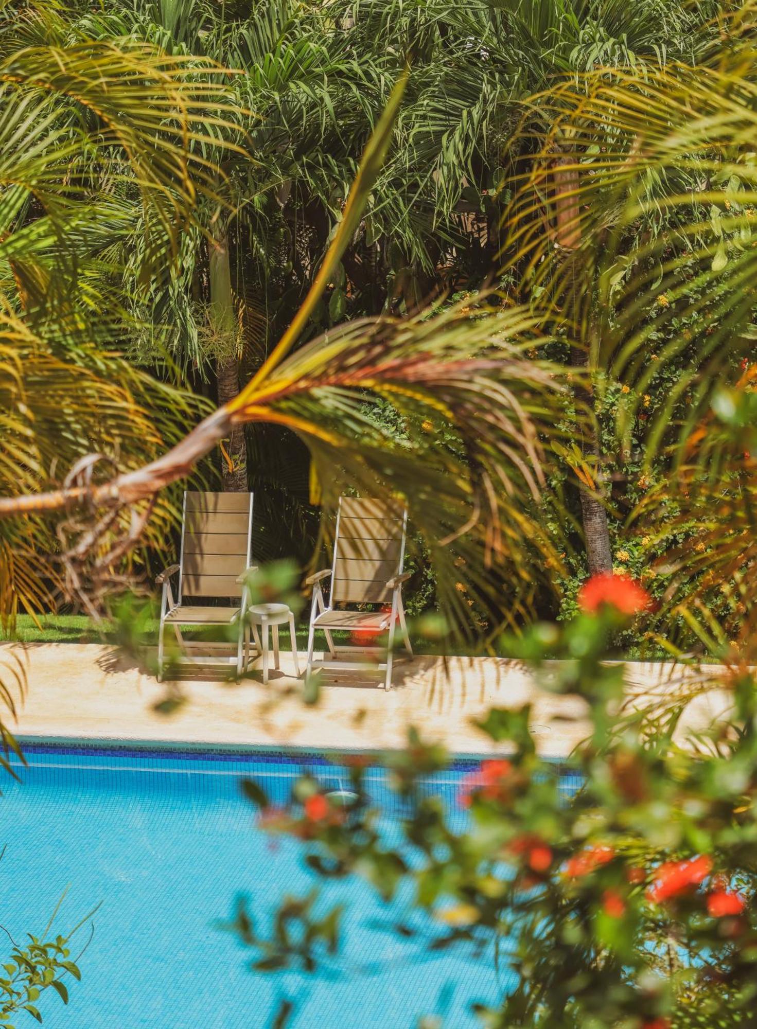 Hotel Villa Del Sol Coco Dış mekan fotoğraf